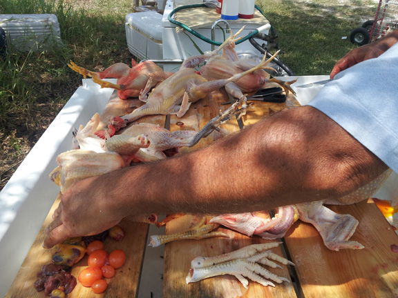 chicken butcher