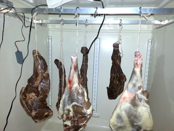 How To Convert A Refrigerator For Curing Meat Or Aging Cheese