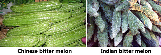 Bittermelonfruit