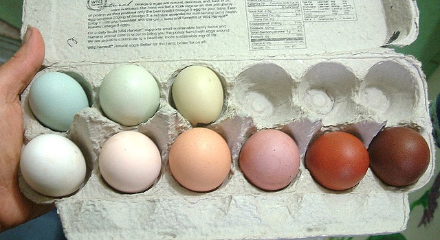 eggcolors